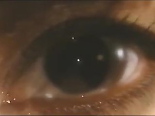 Pb82: Police Branch 82; Rebirth Silk & Steele