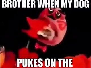 ASMR Japanese Man eats out dog pussy