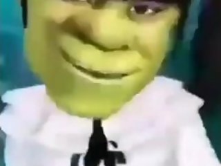 Sexy shrek