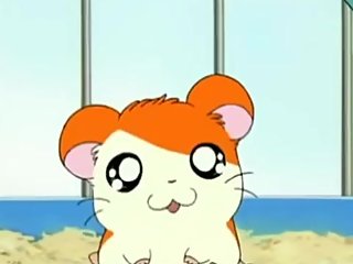 Hamtaro Opening